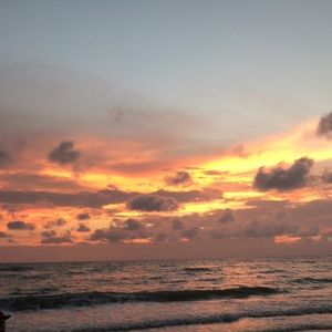 Meet your Posher, Lizzy